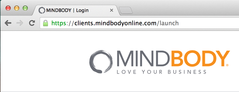 MindBody Online Review - Accountant's Perspective