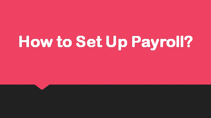 How to Set Up Payroll?
